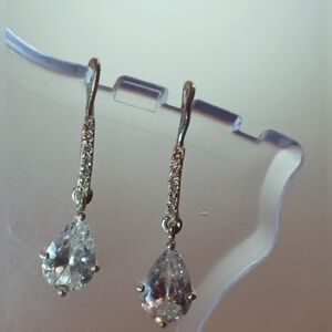 Elegant Sterlung Silver Drop Earrings